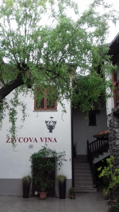 Apartmaji Pri Zivcovih Dutovlje Extérieur photo